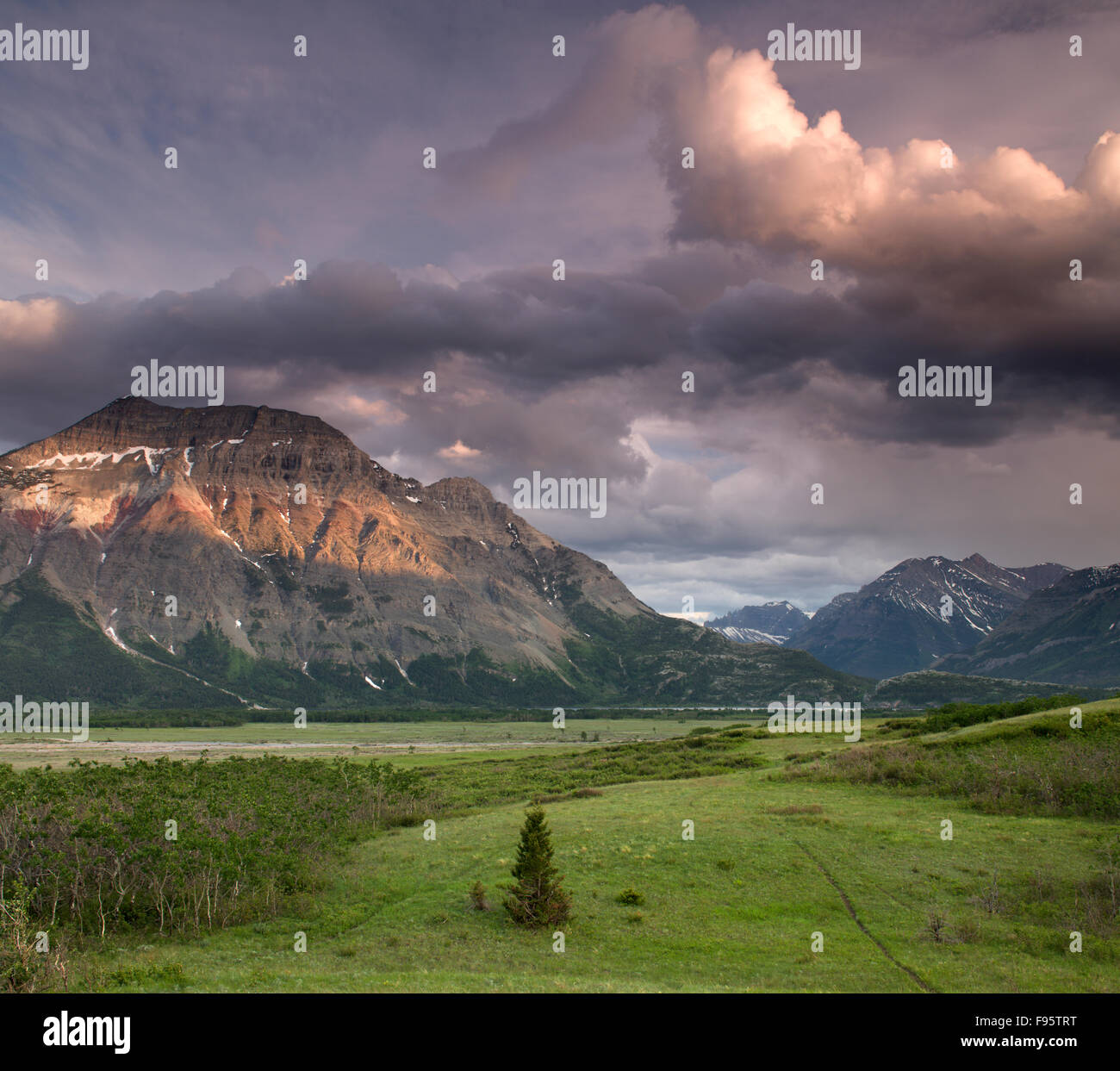 Vimy Peak, Wasser Lakes National Park, Alberta, Kanada Stockfoto