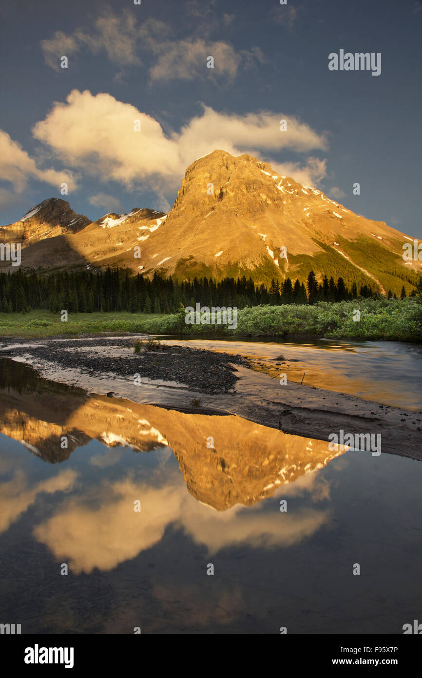 Mount Wilson bei Norman Creek, Banff Natioanl Park, Alberta, Kanada Stockfoto