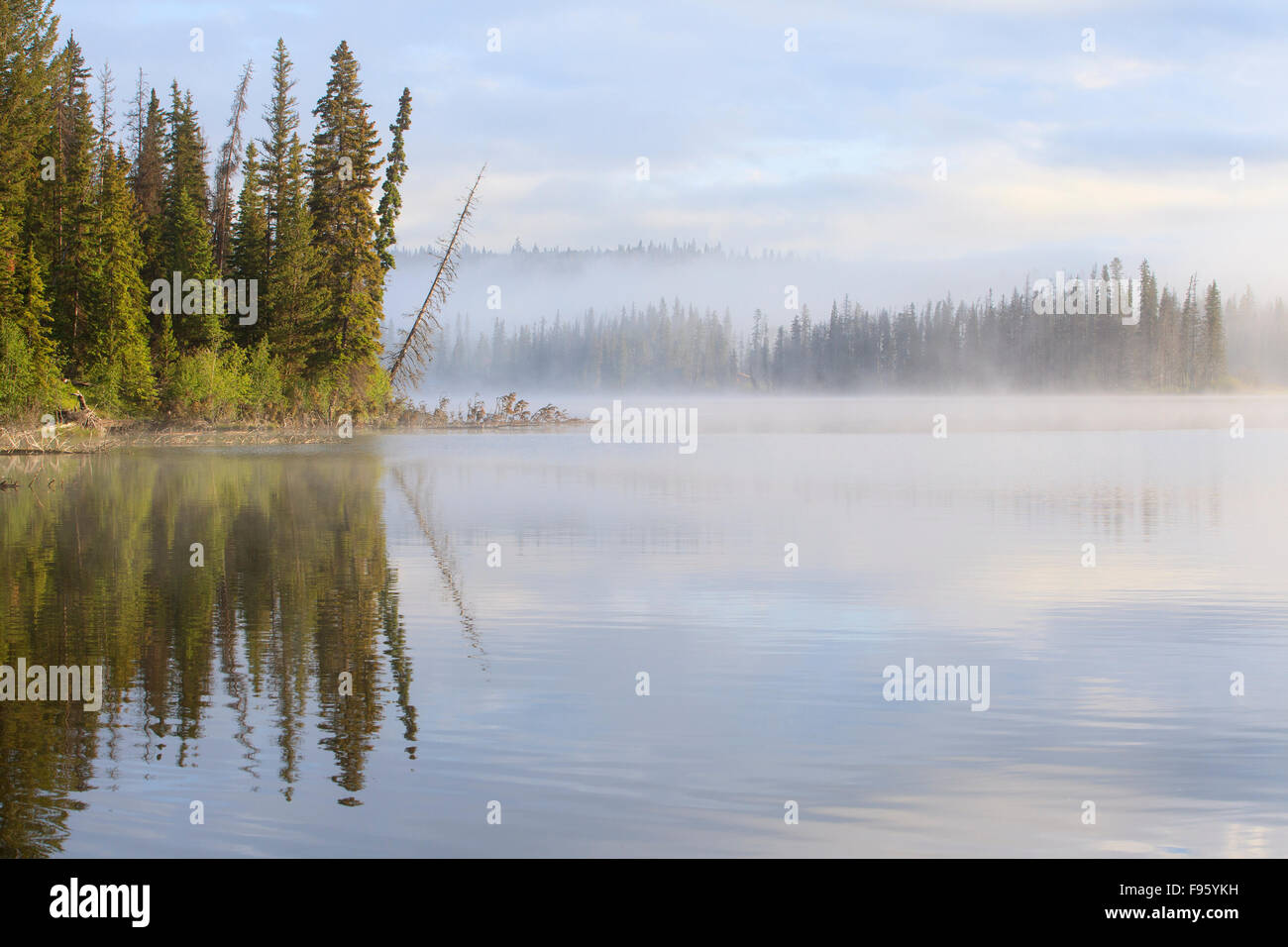 Nebligen Morgen, Lac Le Jeune, British Columbia, Kanada Stockfoto