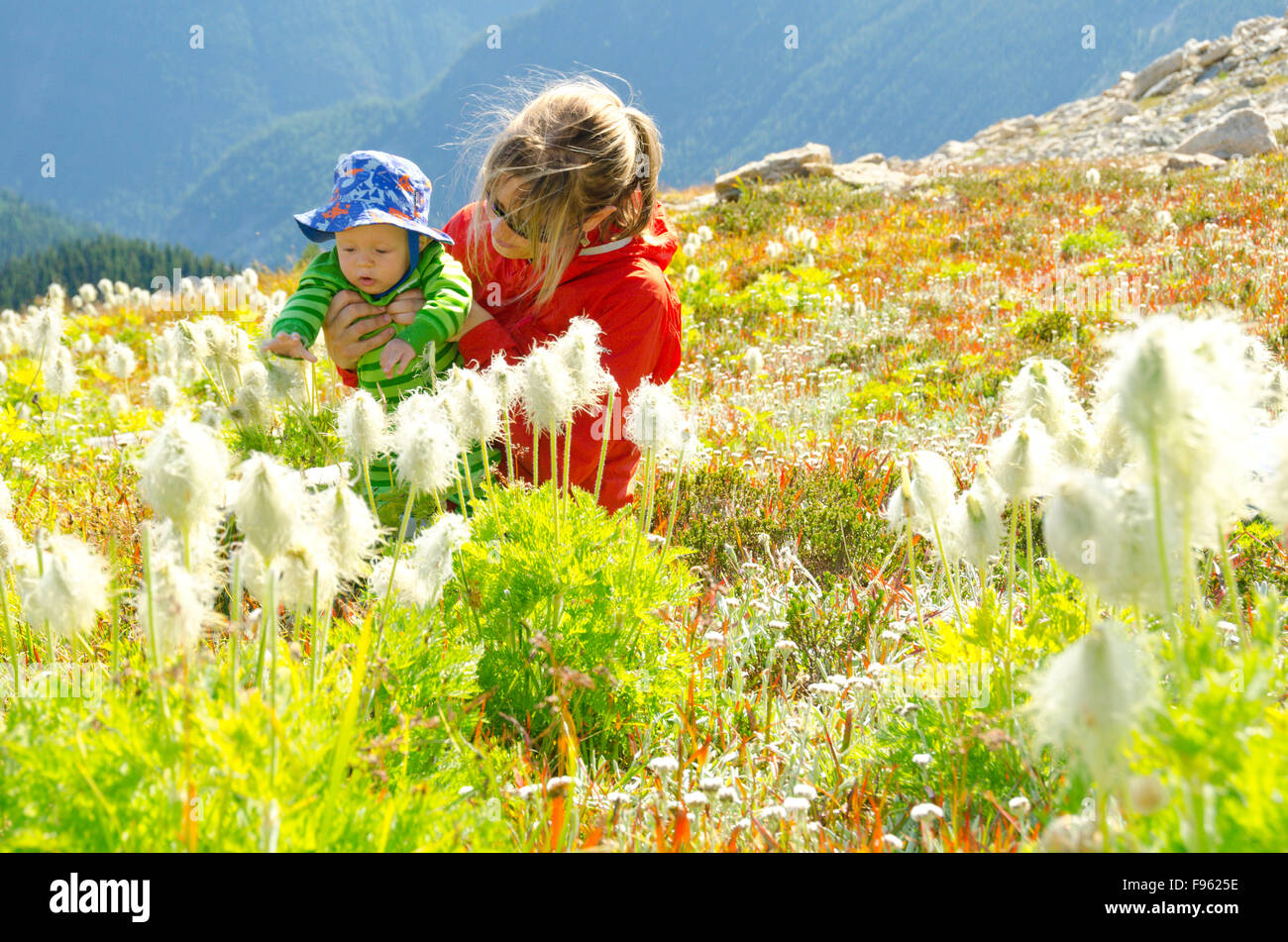 Eine junge Mutter beobachtet ihren Sohn Probe Alpenpflanzen, Valhalla Provincial Park, Britisch-Kolumbien Stockfoto