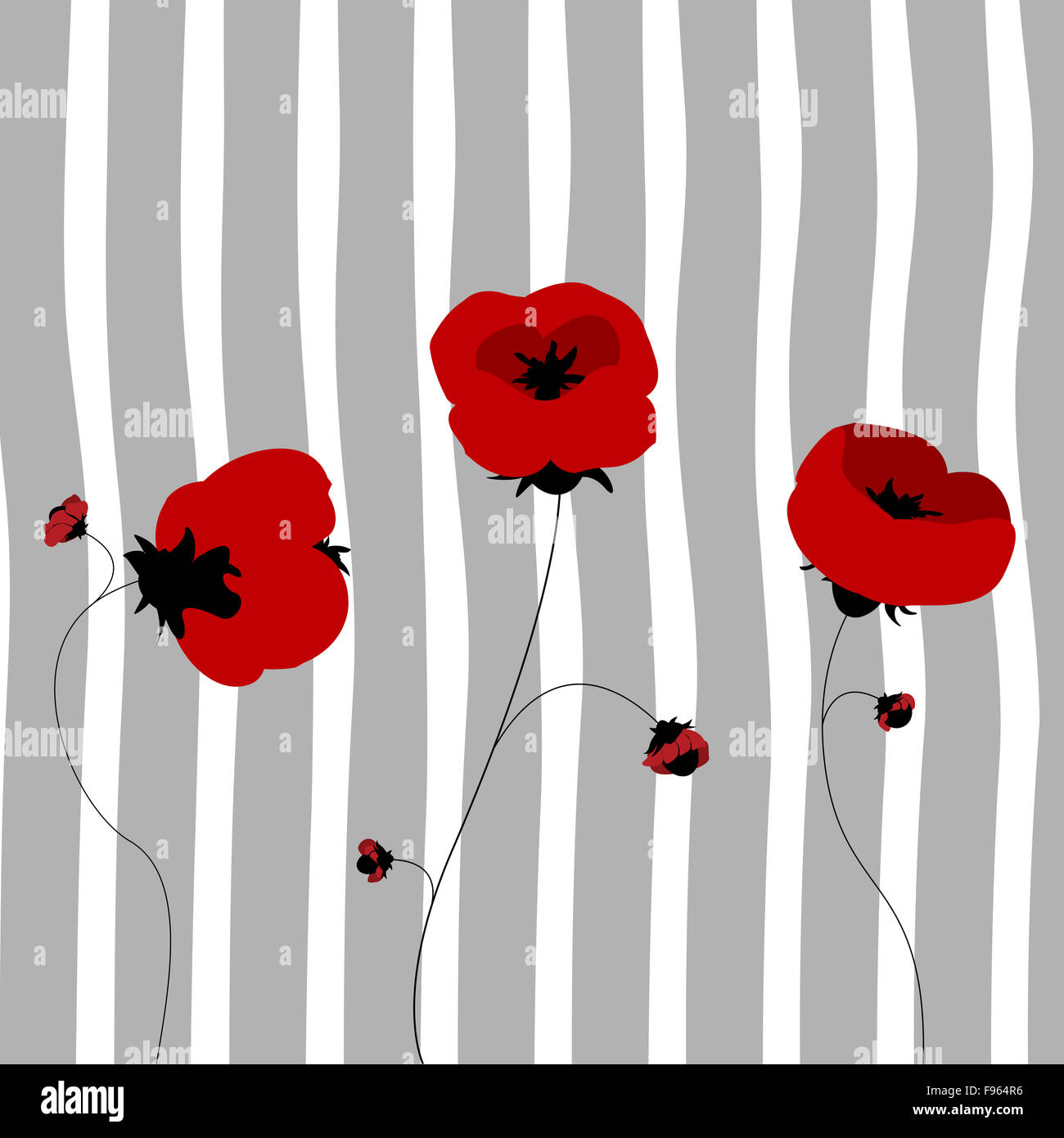 Mohn-Karte Stockfoto