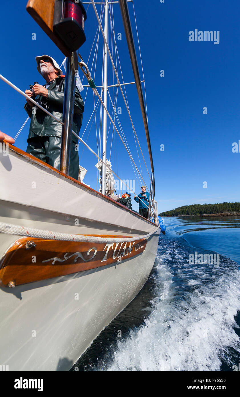 Passagiere an Bord "Tuan" genießen Sie einen schönen Tag an Bord eines Segelbootes Ausschau nach Walen in der Johnstone Strait Stockfoto