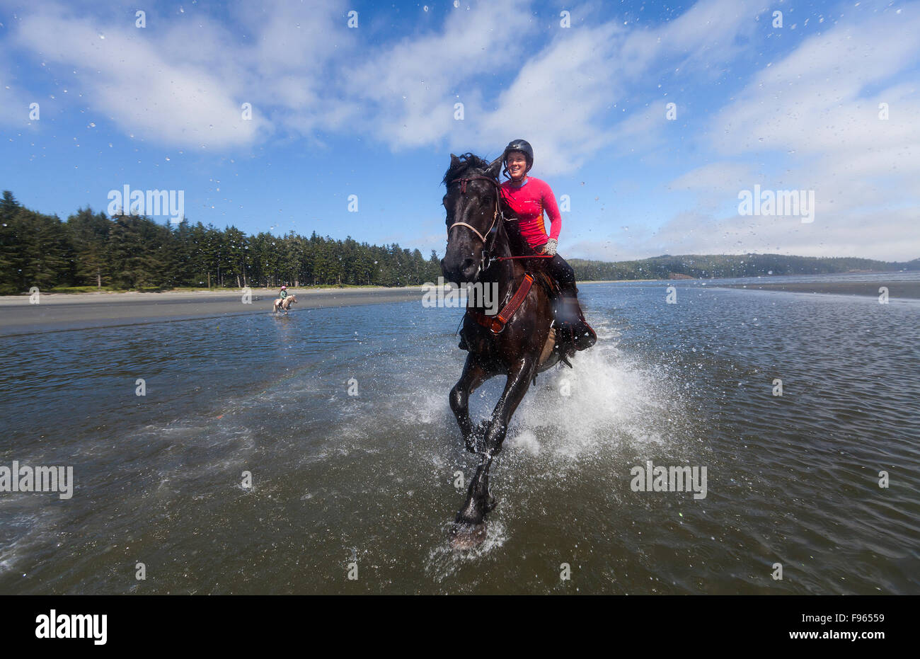 Pferdefreunde führen ihre Pferde in den niedrigen Gezeiten auf Geschichten Strand in der Nähe von Port Hardy. Stockfoto