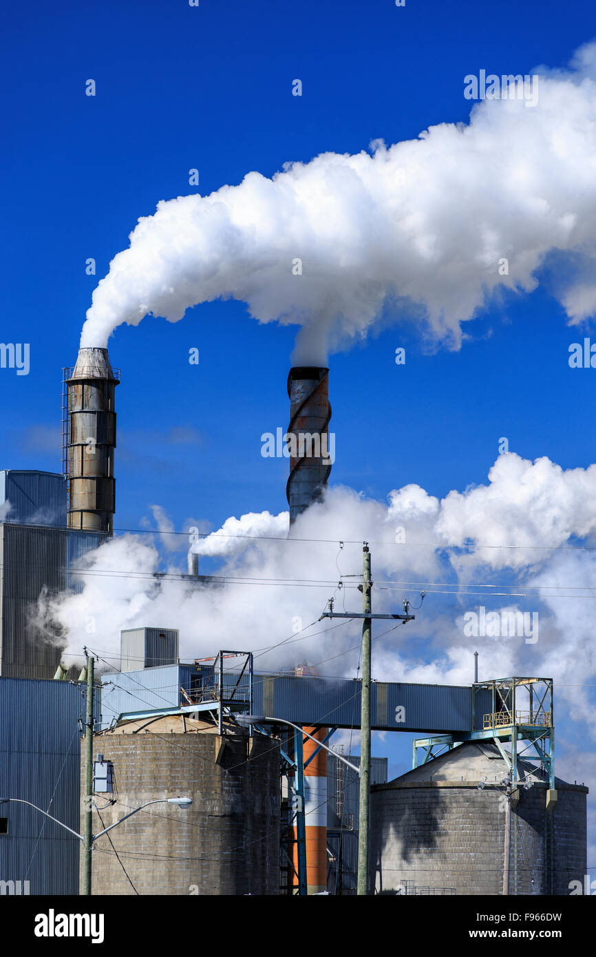 Verunreinigung der Luft durch Schornsteine bei einer Zellstoff- und Papierfabrik, Terrace Bay, Ontario, Kanada Stockfoto