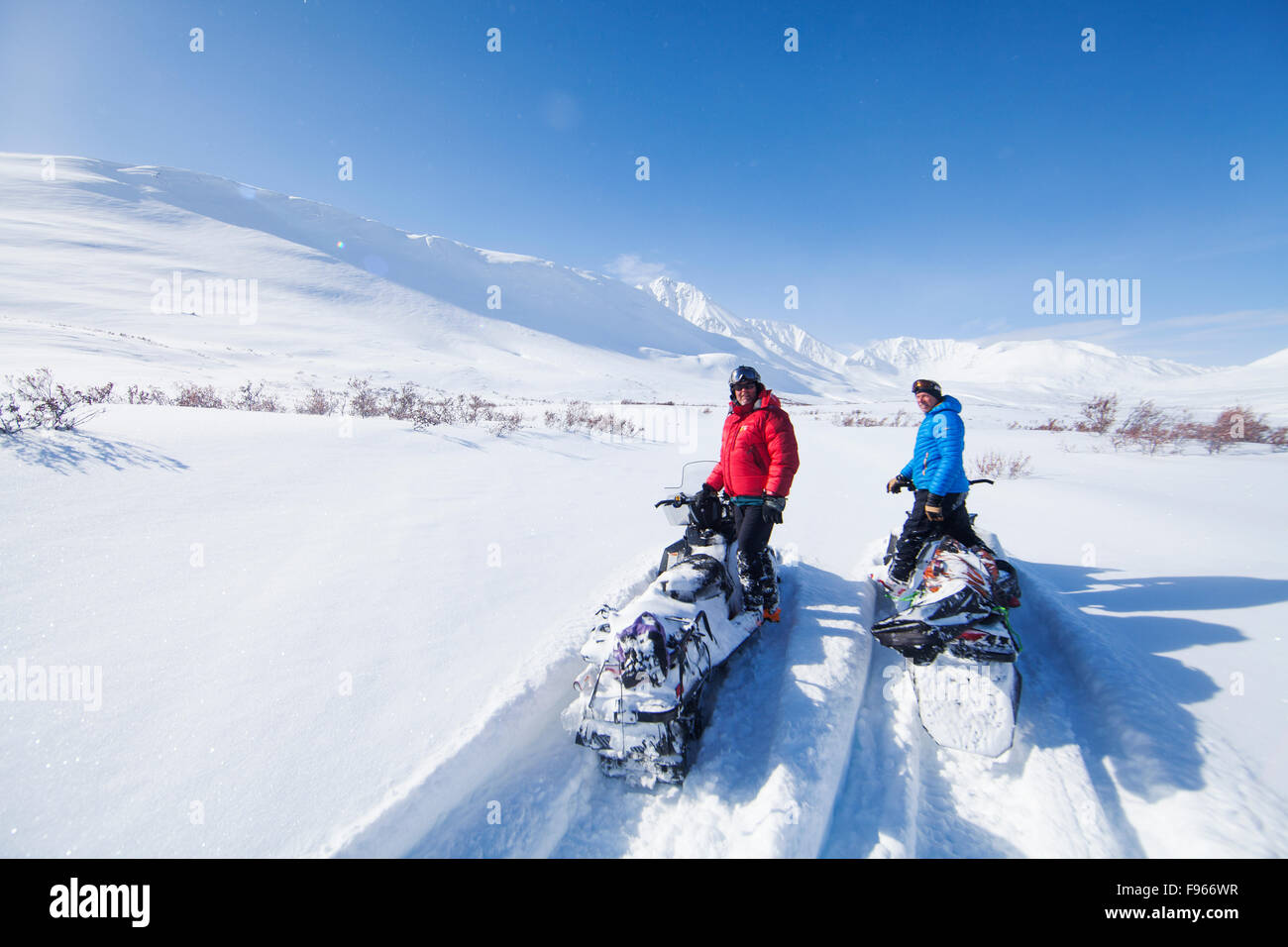 Zurück Land Enthusiasten Check-out einen frischen unverspurten Bereich der Trockenpulver beim Skifahren in den Mckenzie-Bergen in der Nähe der Stockfoto