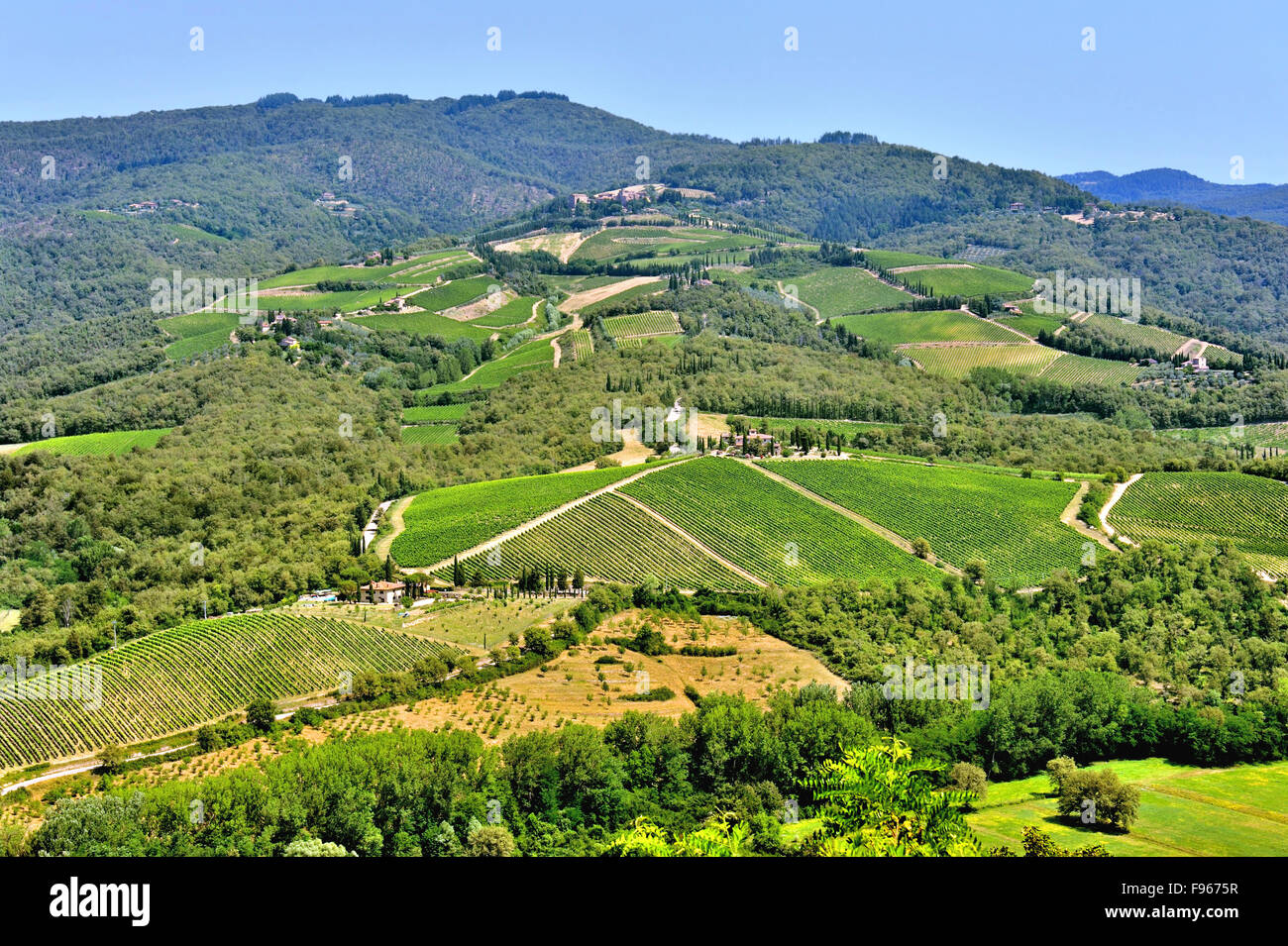 Landschaft der toskanischen Weinbergen in der Nähe von Radda in Chianti, Toskana, Italien Stockfoto