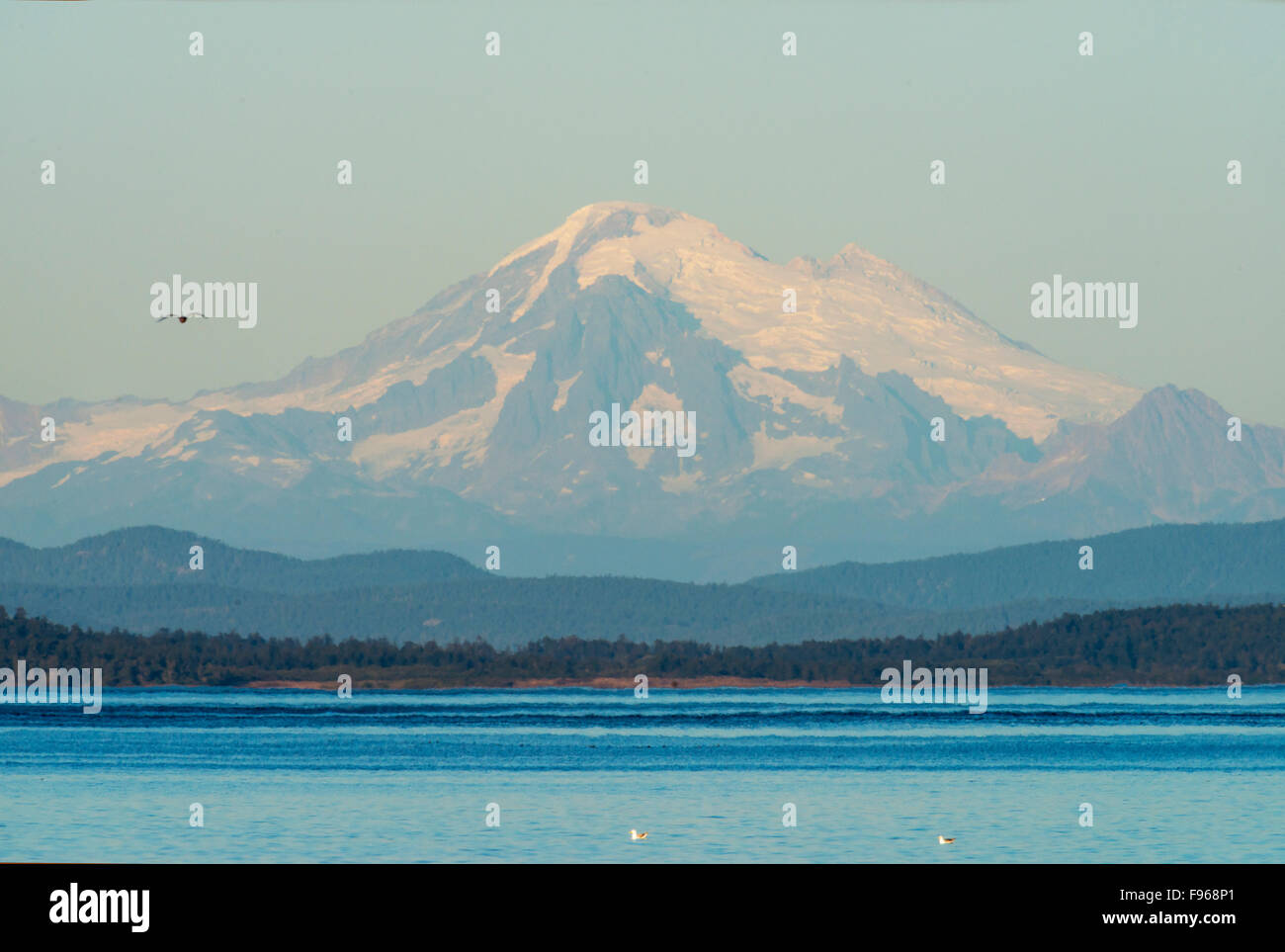 Blick auf Mount Baker von Rindern Punkt Oak Bay Stockfoto