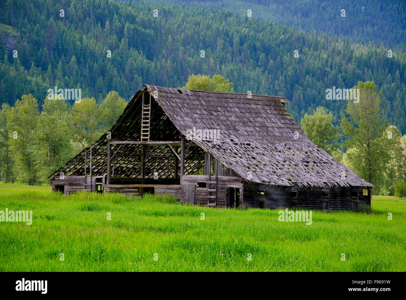 Lebendige Frühlingsfarben umgeben eine rustikale Scheune in der Nähe von Lumby, in der Shuswap-Region von British Columbia, Kanada. Stockfoto