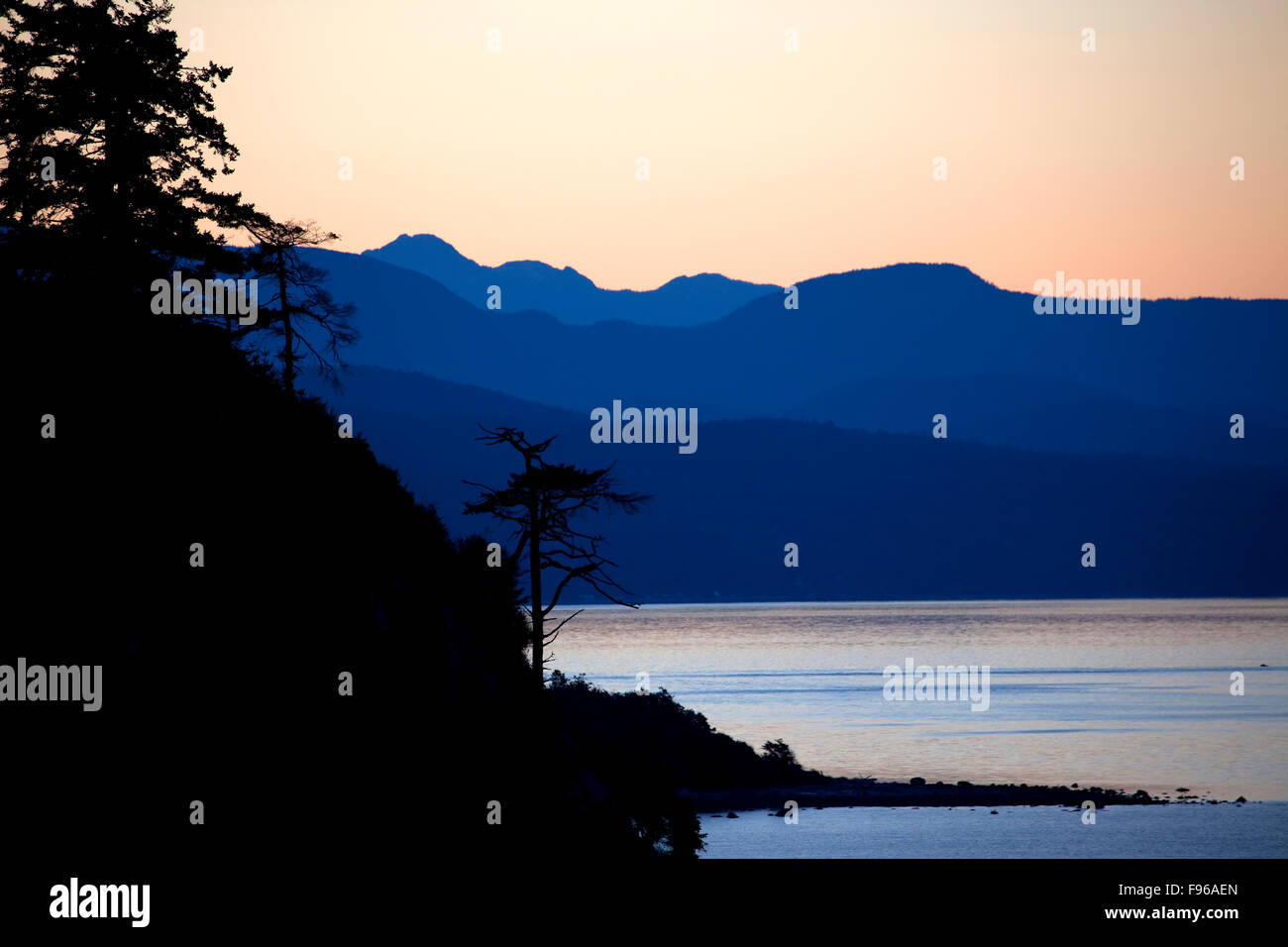 Dawn, Sonnenaufgang, Coastal Wälder, Douglasien (Pseudotsuga Menziesii), Sillhouette, Strand, Gezeiten, Küste-Berge, Stockfoto