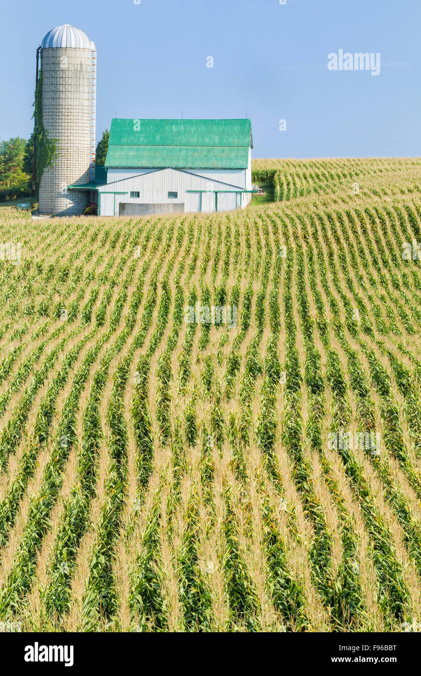 Abgeernteten Feldern und Bauernhof in der Nähe von Benmiller, Ontario, Kanada Stockfoto