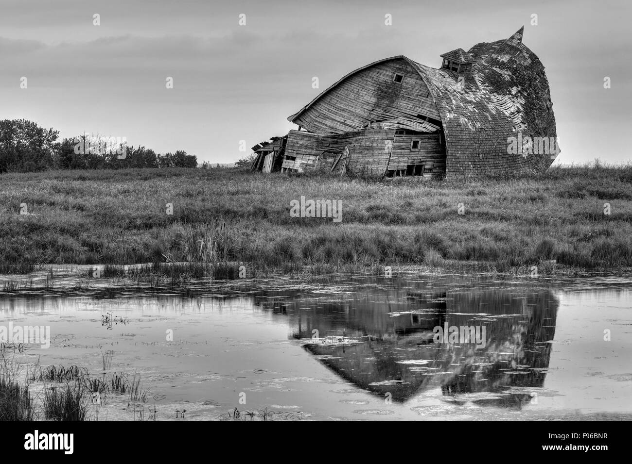 verlassene Scheune, gewölbtes Dach, Runde Dach Scheune, umfallen, nördlichen Saskatchewan, Kanada, Slough, Wiese, RM Mervin, Stockfoto