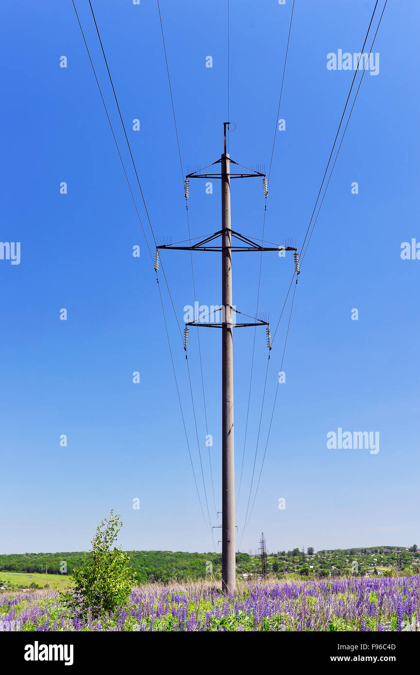 Hochspannungs-elektrische Pol mit Drähten auf einem Hintergrund des blauen Himmels in einem Feld von blühenden Lupinen Stockfoto