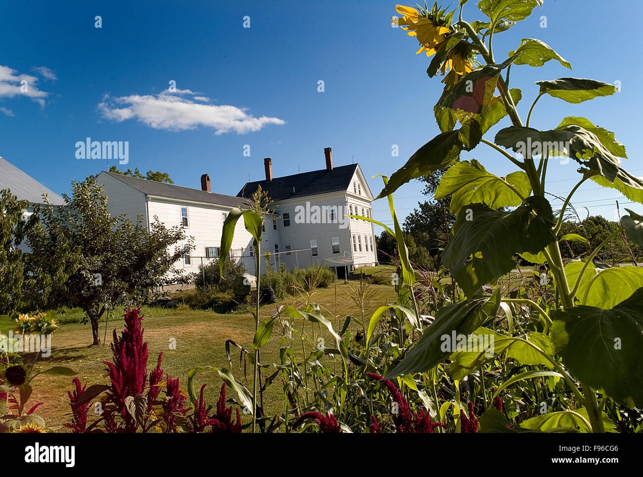 Traditionelle Bauernhöfe sind ein wichtiger Bestandteil der kulturellen Charakter der Maine. Stockfoto