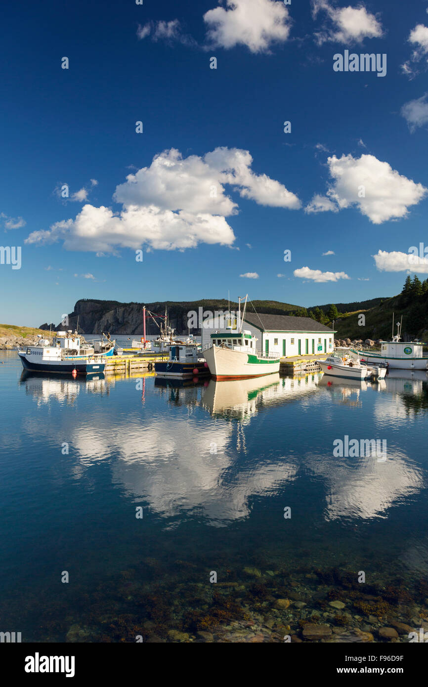 Angelboote/Fischerboote am Kai, Brigus Süd, Neufundland, Kanada gefesselt Stockfoto