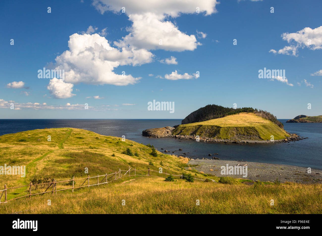 Küsten-Wanderweg, ren Cove, Newfoundland, Canada Stockfoto