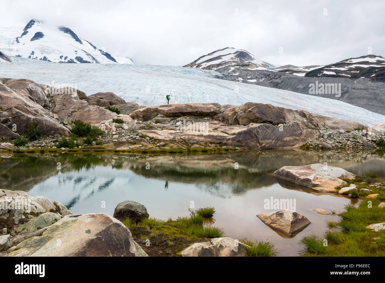 British Columbia, Kanada, Chilcotin Region, Wandern, Moränenlandschaft, Gletschersee, sich entfernenden Gletscher, erste Generation Stockfoto