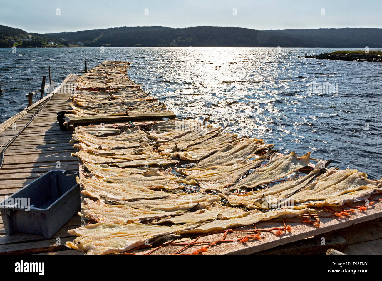Kabeljau Trockengestelle, nach Herzenslust Inhalt, Neufundland, Kanada Stockfoto