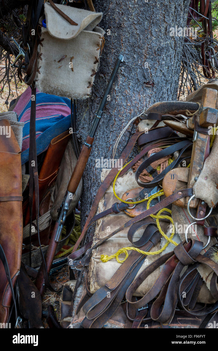 Kanada, British Columbia, Tweedsmuir Park, Chilcotin Region, Chilcotin Arche, Rainbow Berge, Pferd Outfitters Gang, Pferd Stockfoto
