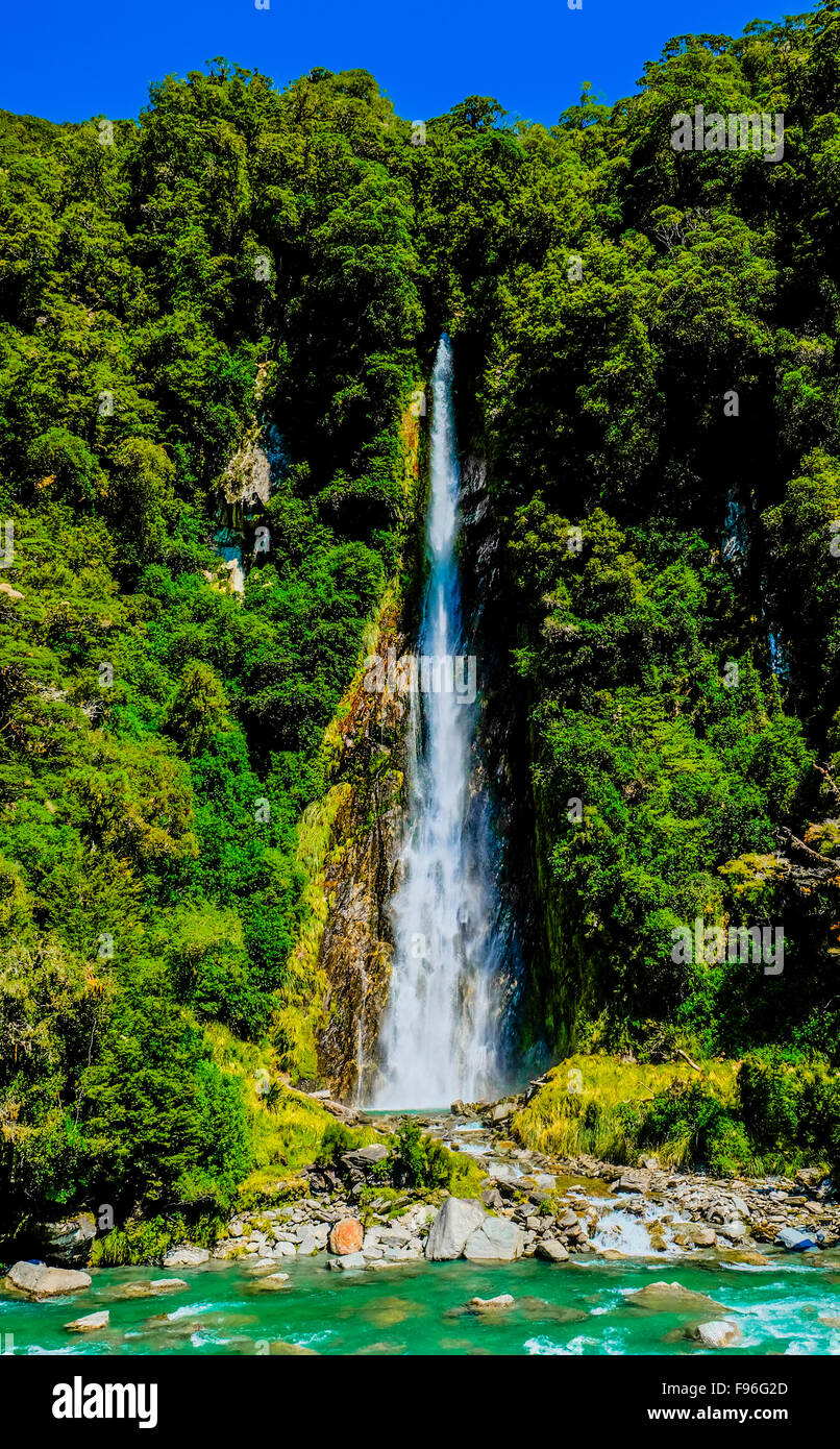 Westland Südinsel, Neuseeland, Thunder Creek Falls Stockfoto