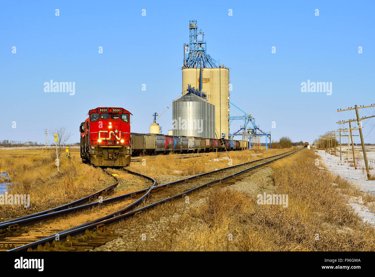 Ein Canadian National Güterzug laden Korn Autos auf die Getreide-Silos in der Nähe von Morinville Alberta, Kanada. Stockfoto