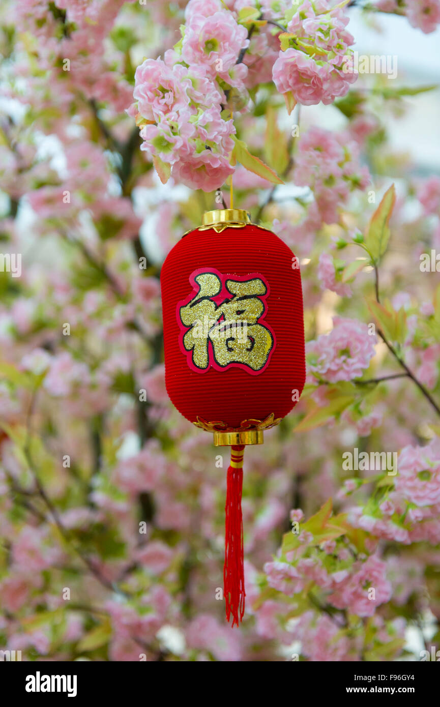 Chinesisches Neujahr, die rote Laterne in einem Kirschbaum Blossum Baum. Stockfoto