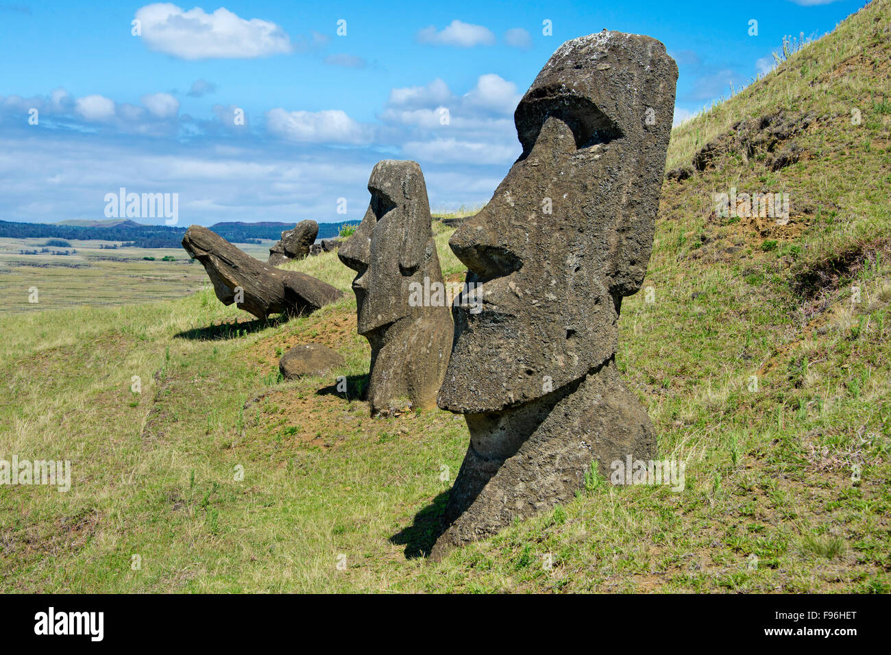 Zeremonielle Moai, Ranu Raraku, Osterinsel Stockfoto