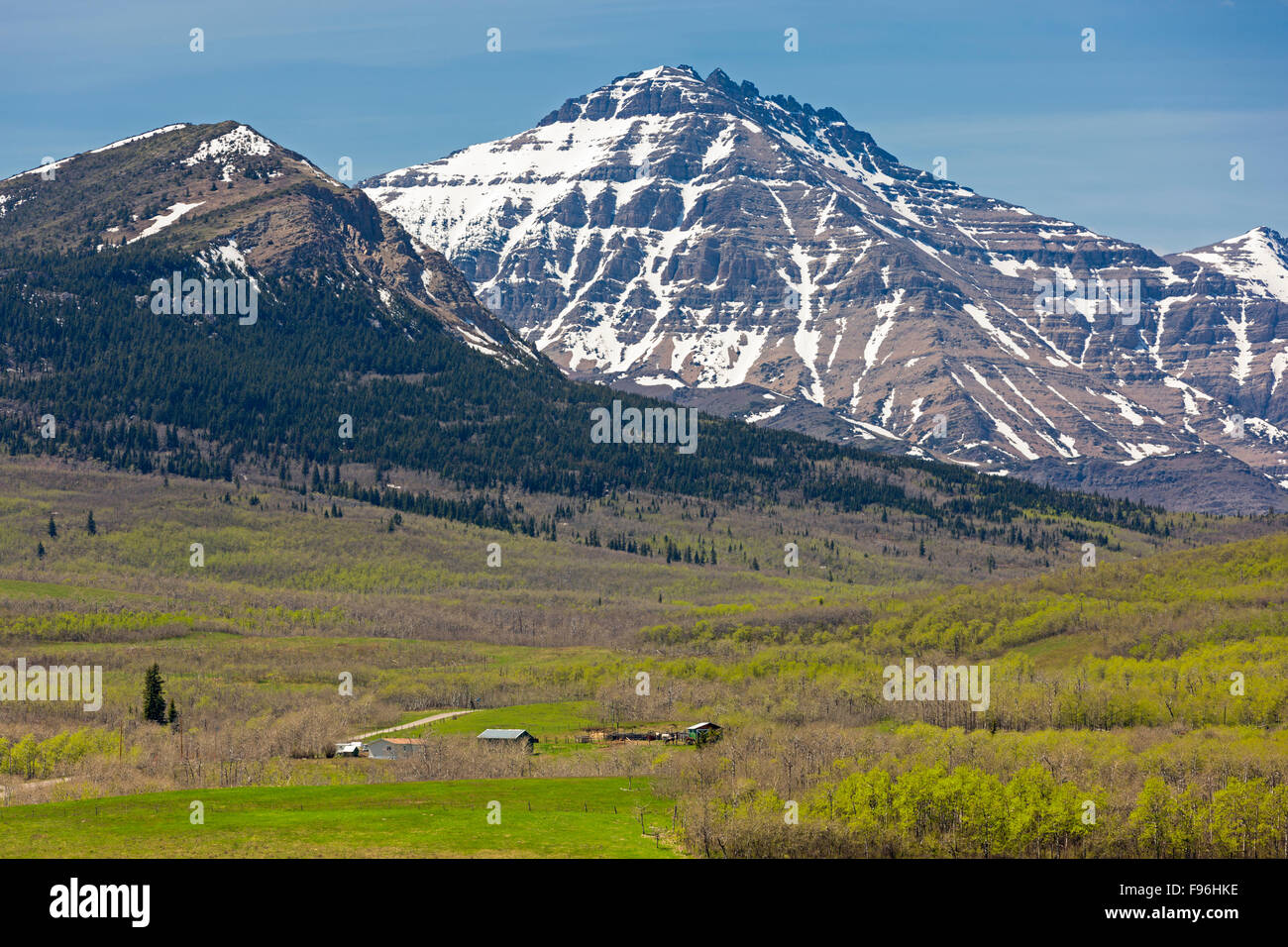 Pincher Creek Nr. 9, Division Nr. 3, Alberta, Kanada Stockfoto