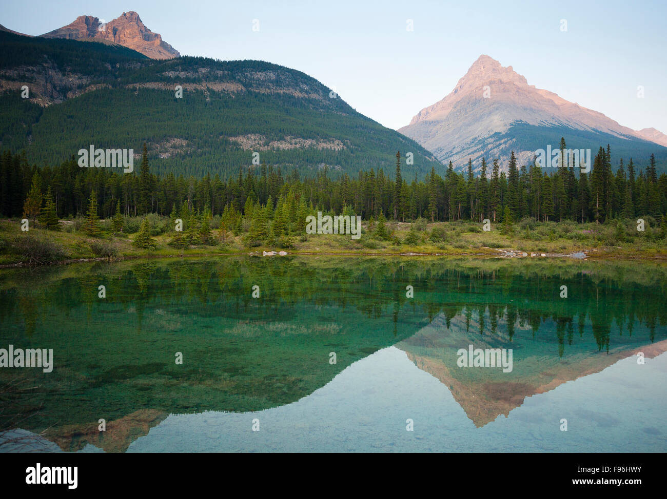 Mt. Weed spiegelt sich in einem kleinen Teich in Wasservögel Seen camping Überlaufbereich Banff Nationalpark, Alberta, Kanada Stockfoto