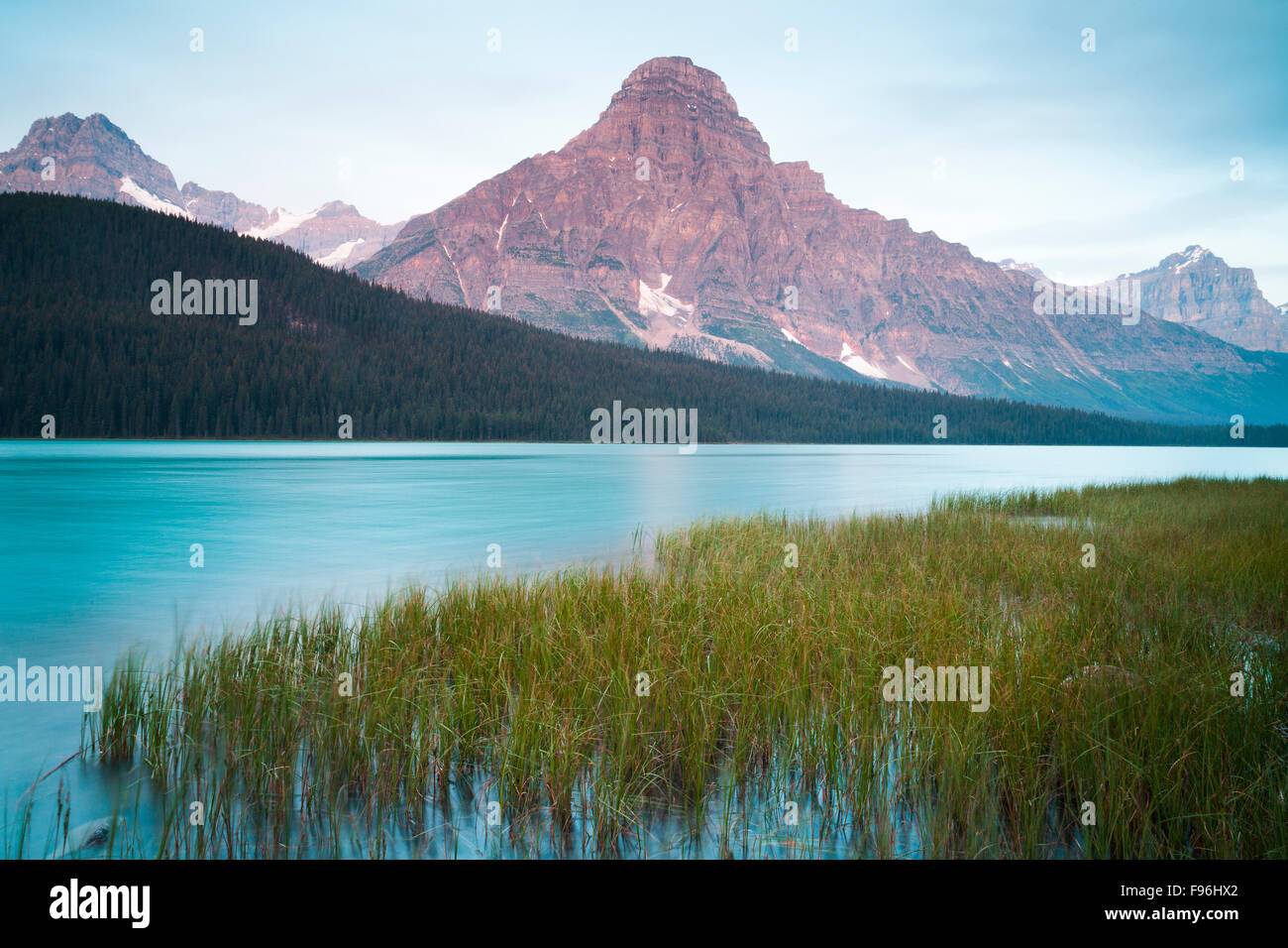 Sunrise, Wasservögel Lake mit Mount Chephren im Hintergrund, Banff Nationalpark, Alberta, Kanada Stockfoto