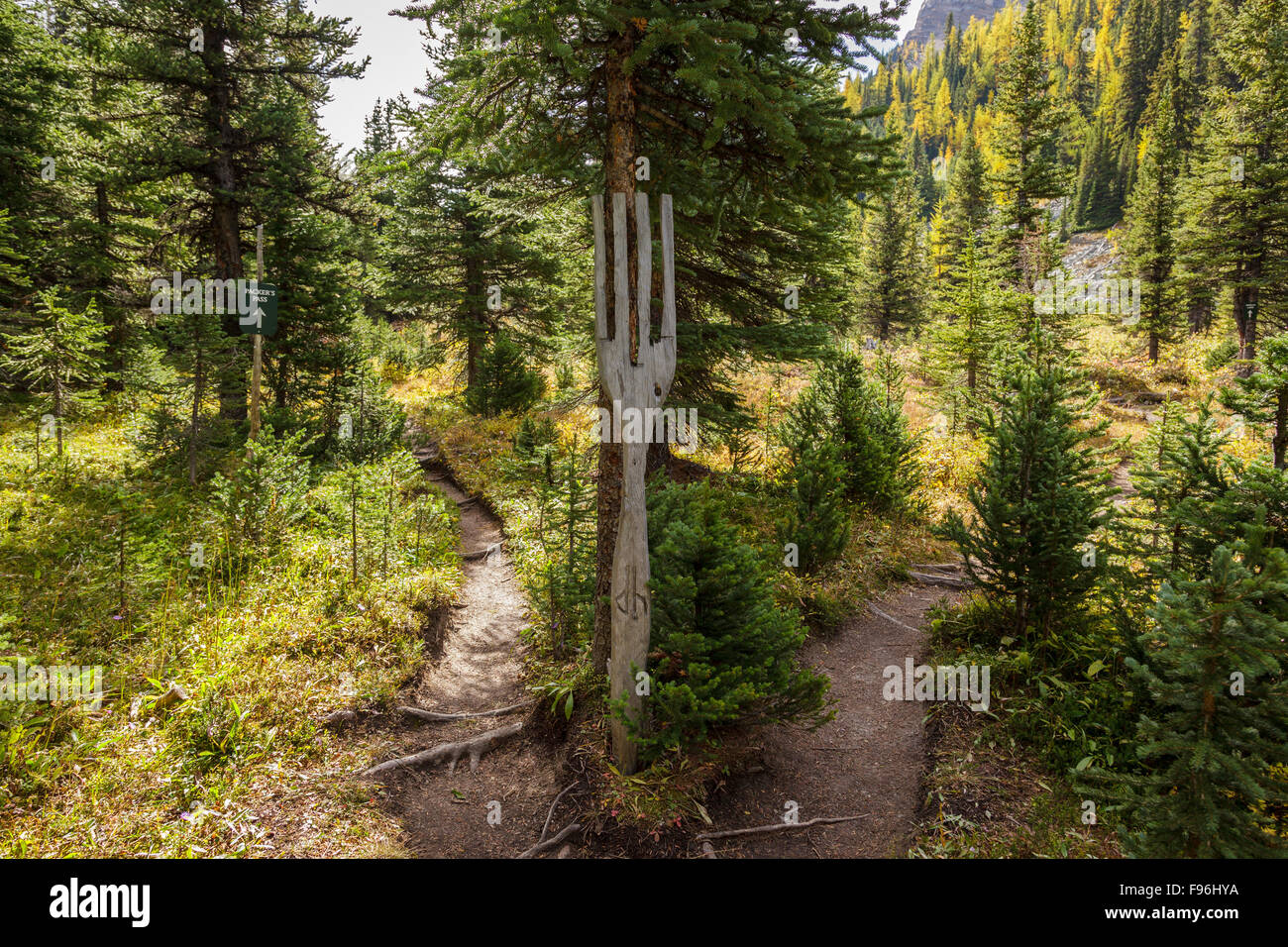 Eine Weggabelung teilt sich den Wanderweg von der Pack-Pferd-Route im Skoki Wildnisgebiet des Banff National Park, Stockfoto