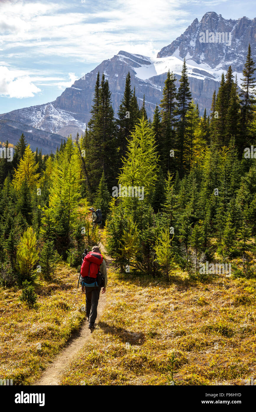 Zwei Rucksacktouristen Wandern in der Nähe von Baker Lake im Wildnisgebiet Skoki von Banff Nationalpark, Alberta, Kanada. Model Released Stockfoto