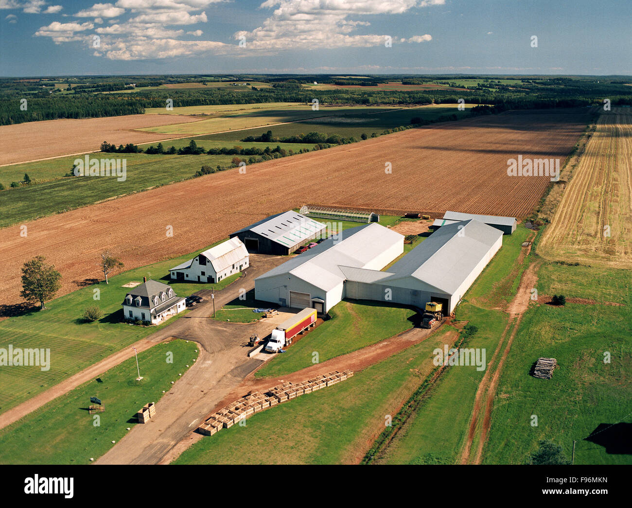 Kartoffel-Hof, grüne Wiesen, Prince Edward Island, Canada Stockfoto