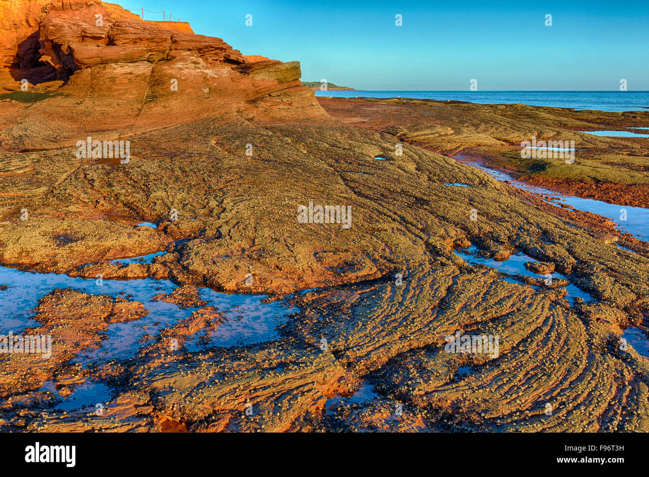 Sandstein, Kanu Cove, Prince Edward Island, Canada Stockfoto