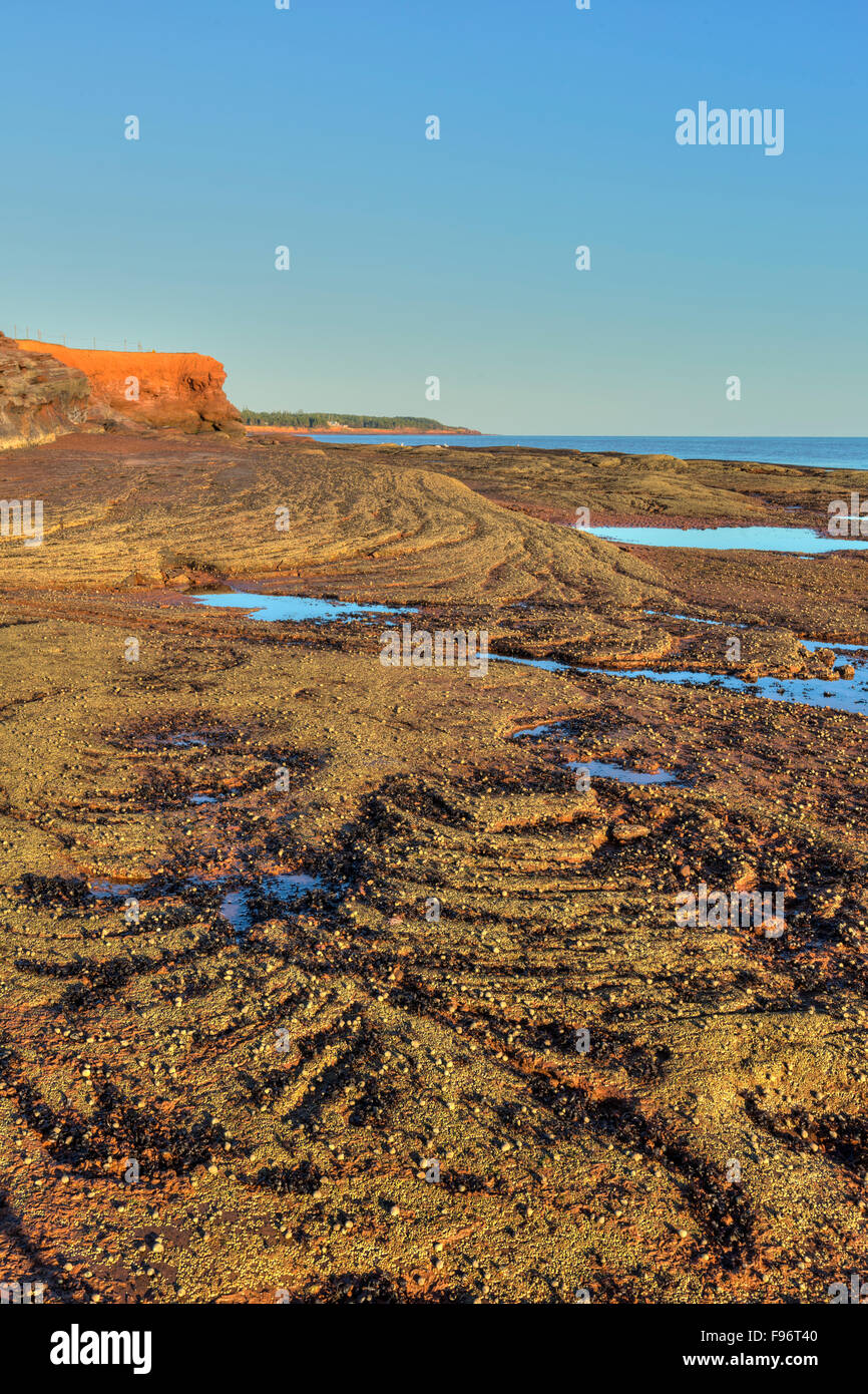 Sandstein, Kanu Cove, Prince Edward Island, Canada Stockfoto