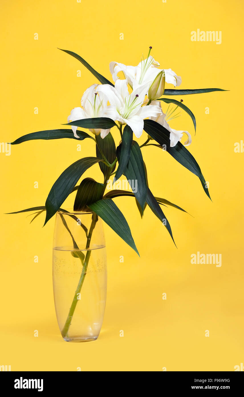 Bouquet von weißen Lilie in Vase auf gelbem Hintergrund Stockfoto