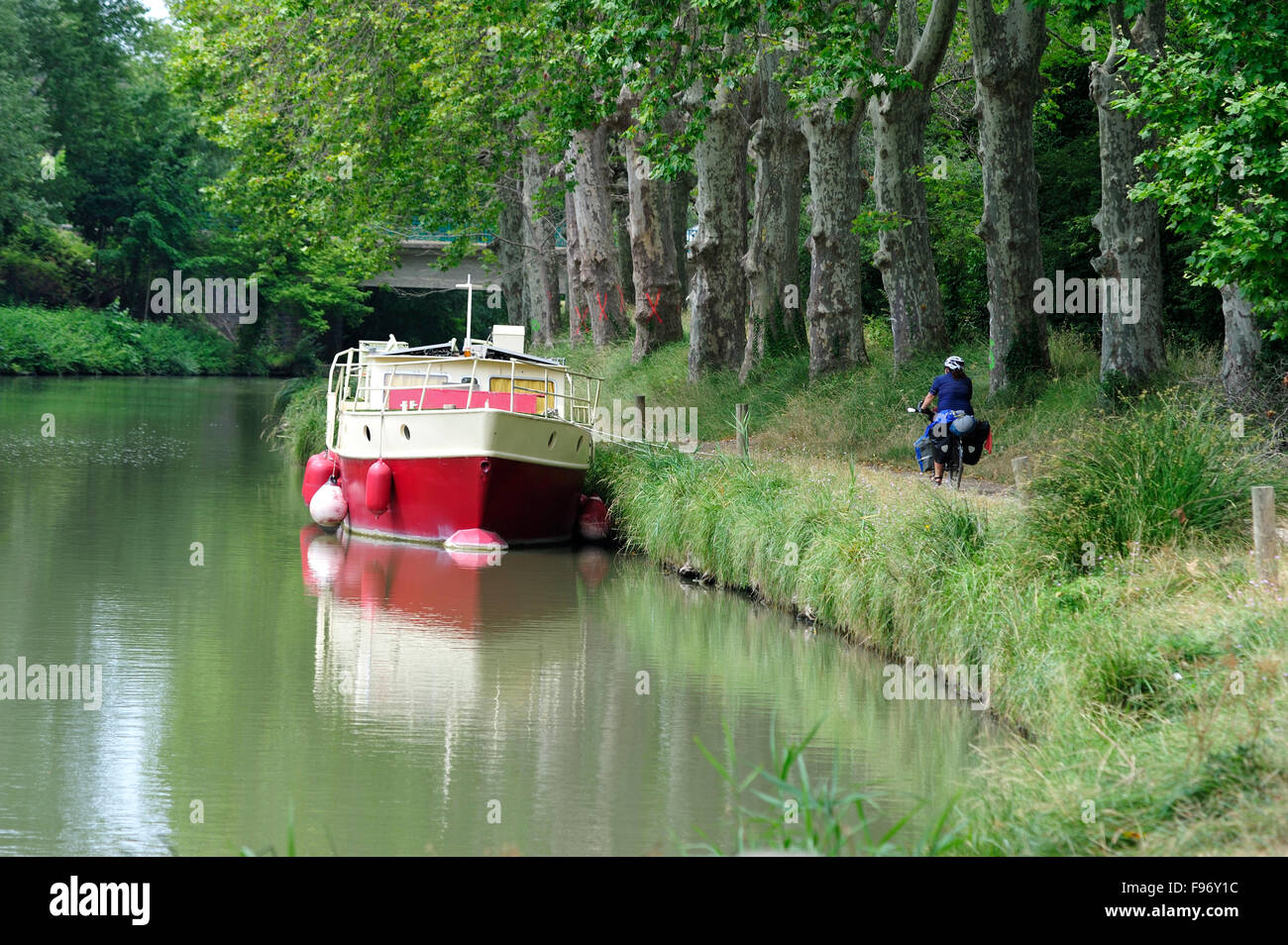 Canal du Midi in der Nähe von Les Neuf Écluses, Department Herault, Frankreich Stockfoto