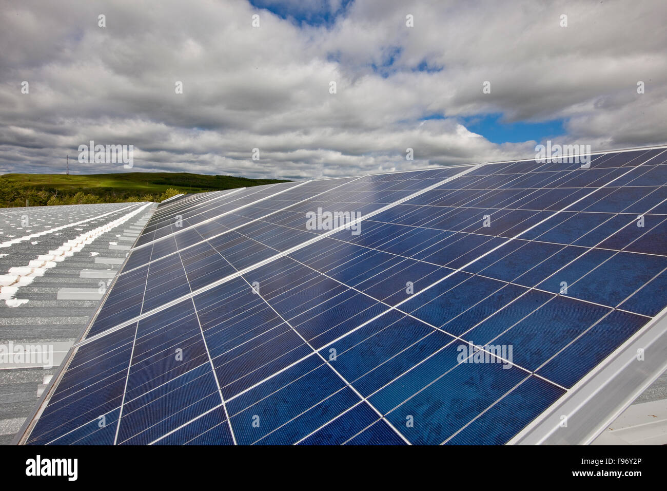 Sonnenkollektoren, Alberta, Kanada. Stockfoto