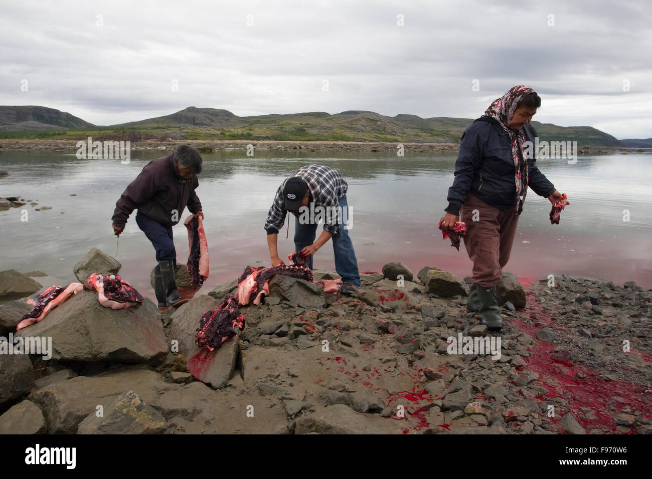 Inuit-Menschen, wieder auf die Jagd, Nunavik, Quebec, Kanada Stockfoto