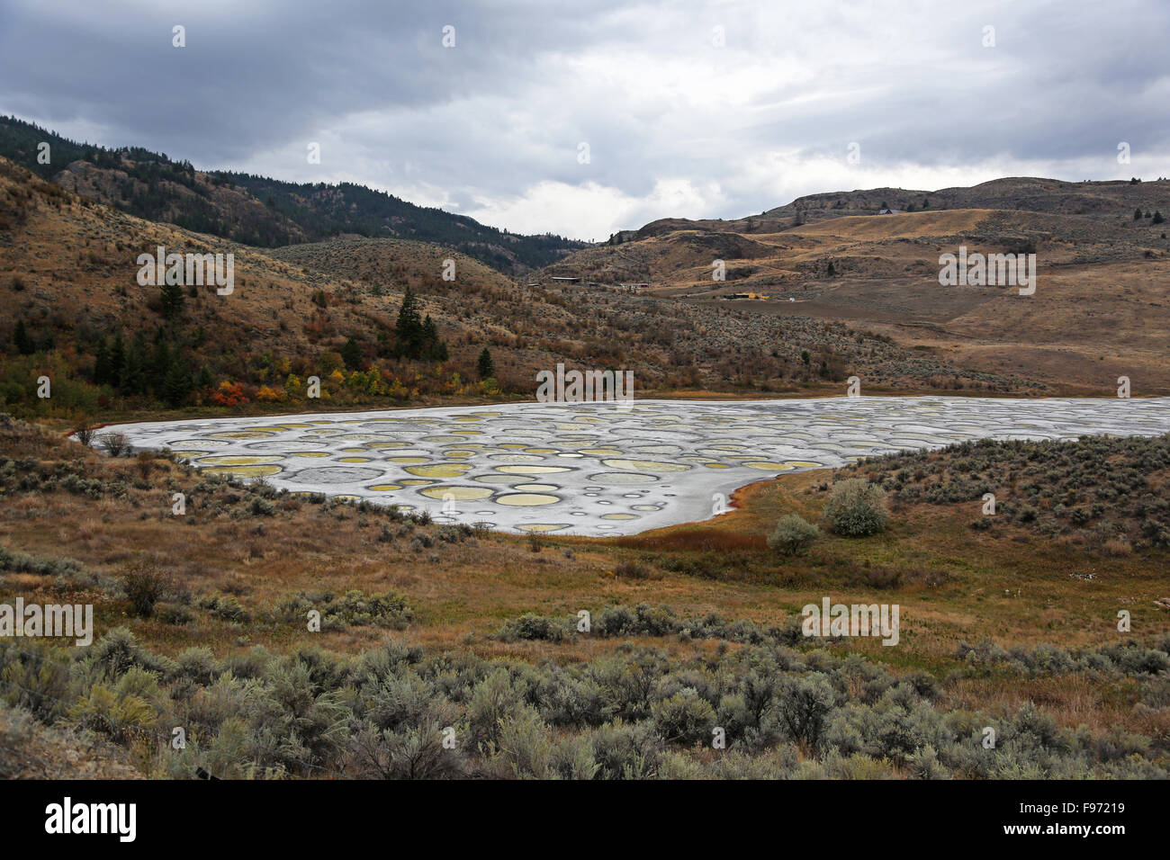 Gefleckte Lake Okanagan Valley, British Columbia, Kanada Stockfoto