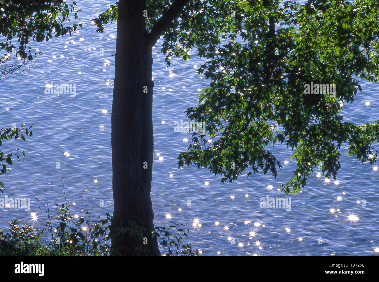 Glitzernde Wasser des Sees Mindemoya, Manitoulin Island, Ontario, Kanada Stockfoto