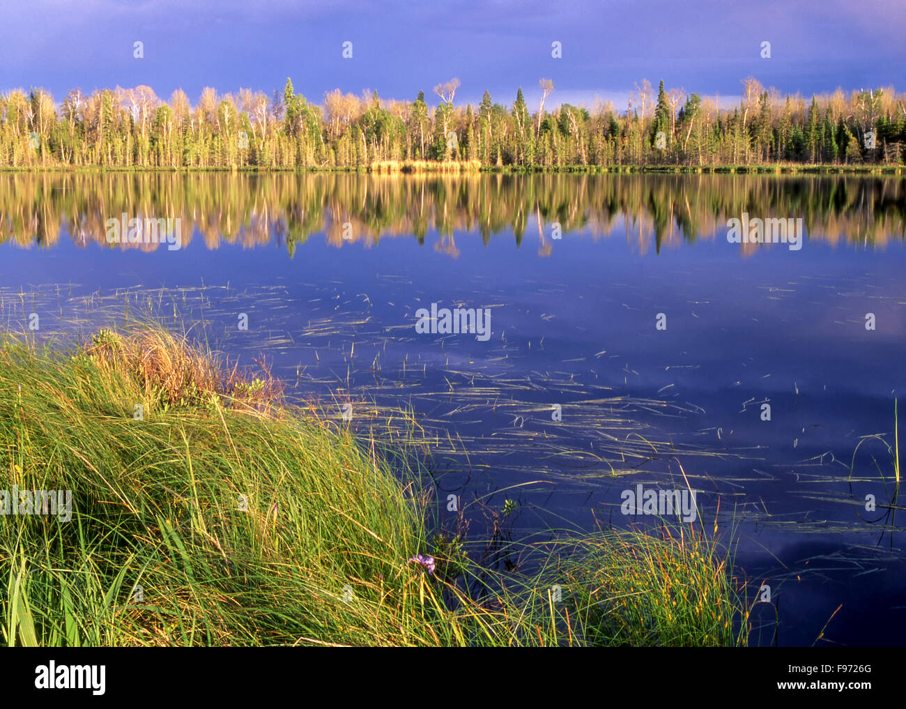 Kleiner See im borealen Wald in der Nähe von Kenora, Ontario, Kanada Stockfoto