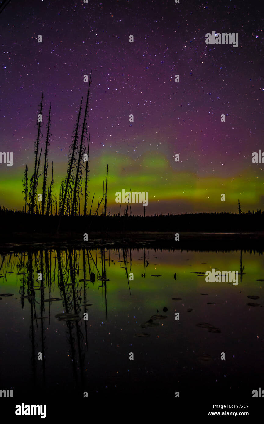 Nordlicht, Aurora Borealis, Reflexion, British Columbia, Kanada Stockfoto