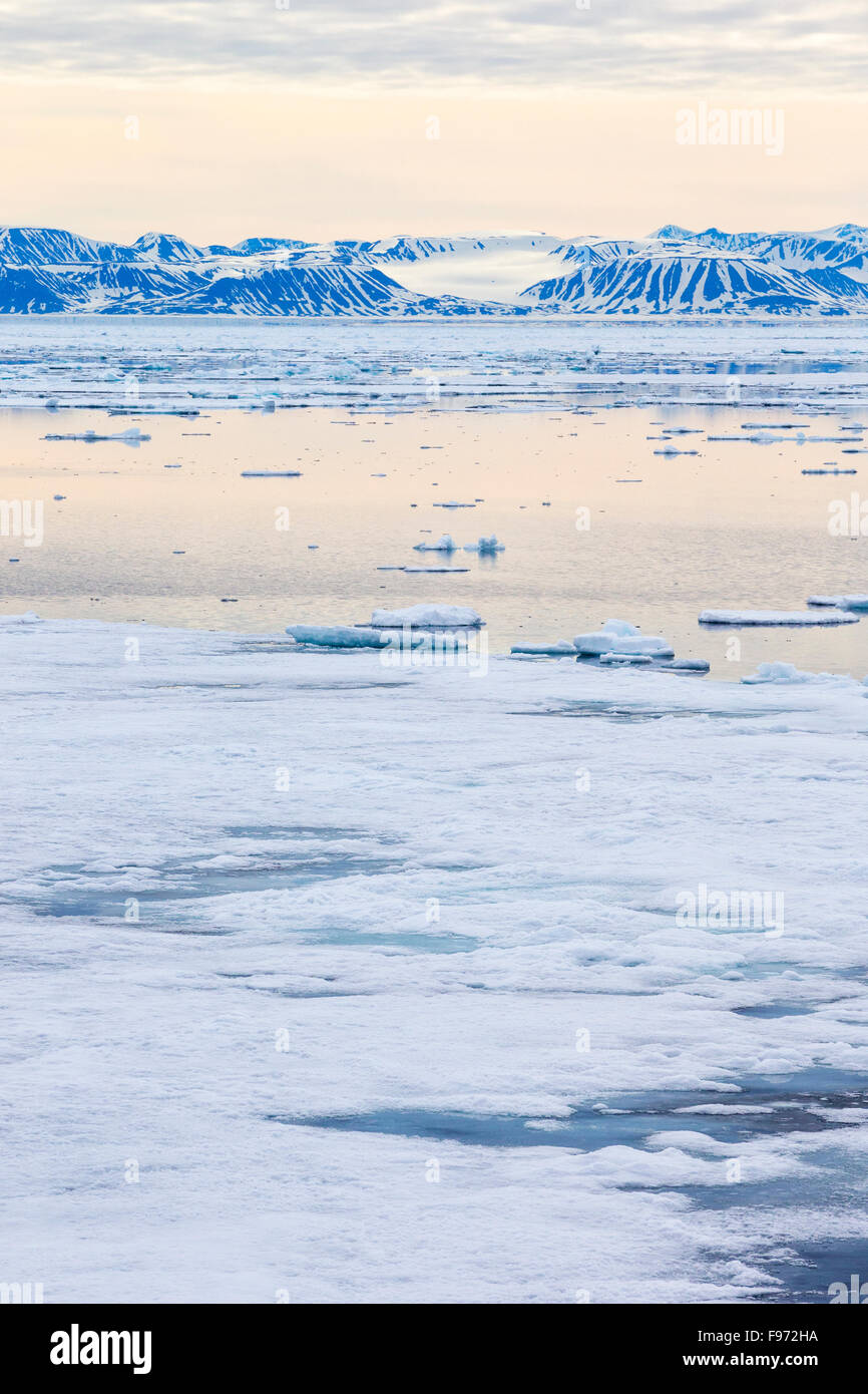 Packeis, nördlich von Spitzbergen Island, Spitzbergen, Arktis Norwegen. Stockfoto