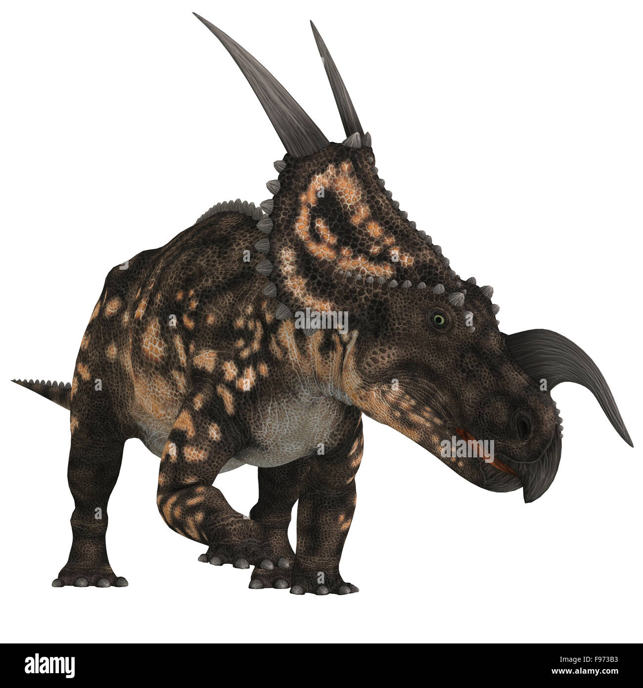 Einiosaurus war ein Pflanzenfresser Ceratopsid Dinosaurier, der in der Kreidezeit Alter Montana, Nord-Amerika lebte. Stockfoto