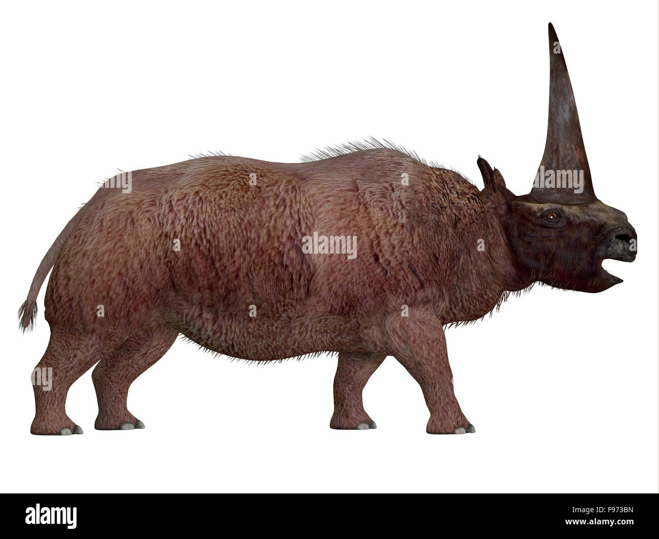 Elasmotherium ist eine ausgestorbene Säugetier, das lebte in der Pleistocene Periode von Russland, Ukraine und Moldawien. Stockfoto