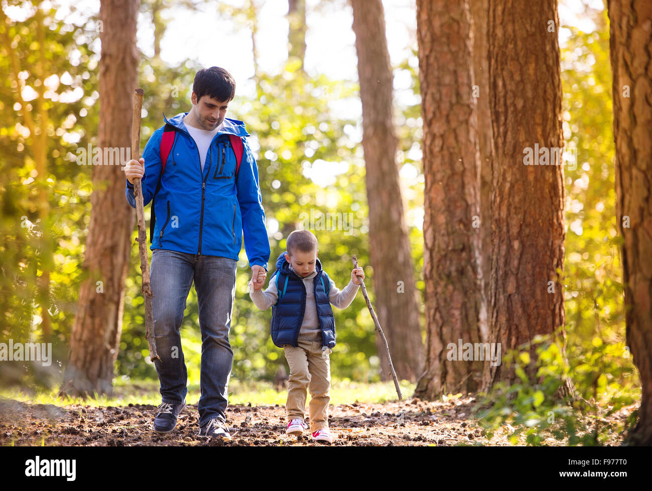 Vater und Sohn zu Fuß während der Aktivitäten Wandern im herbstlichen Wald bei Sonnenuntergang Stockfoto