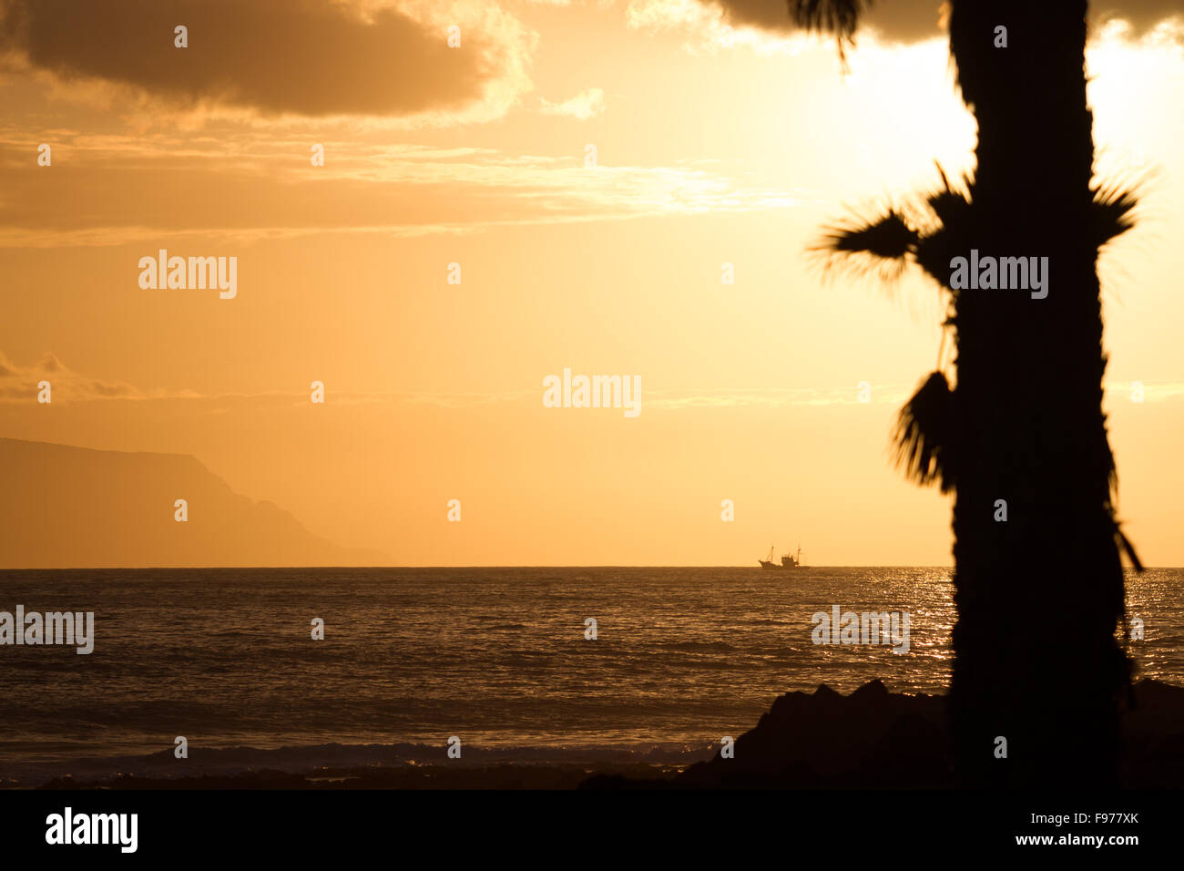 Sonnenuntergang über dem Ozean farbige Himmel in Sepia. Im Vordergrund - die Umrisse von Palmen. Im Hintergrund - das Schiff, die cl Stockfoto
