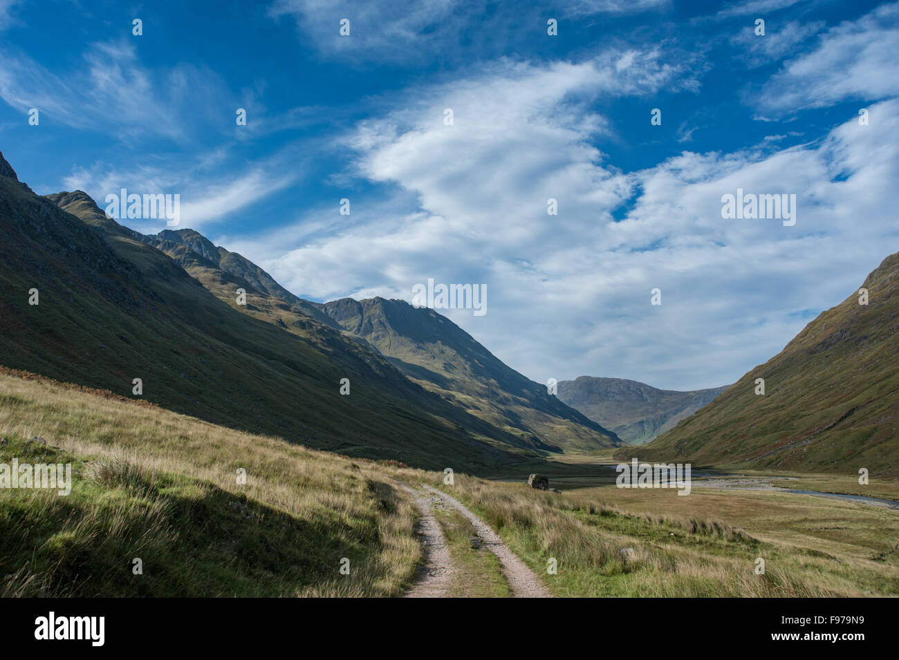 Glenlicht in Kintail Wald von Schottland Stockfoto