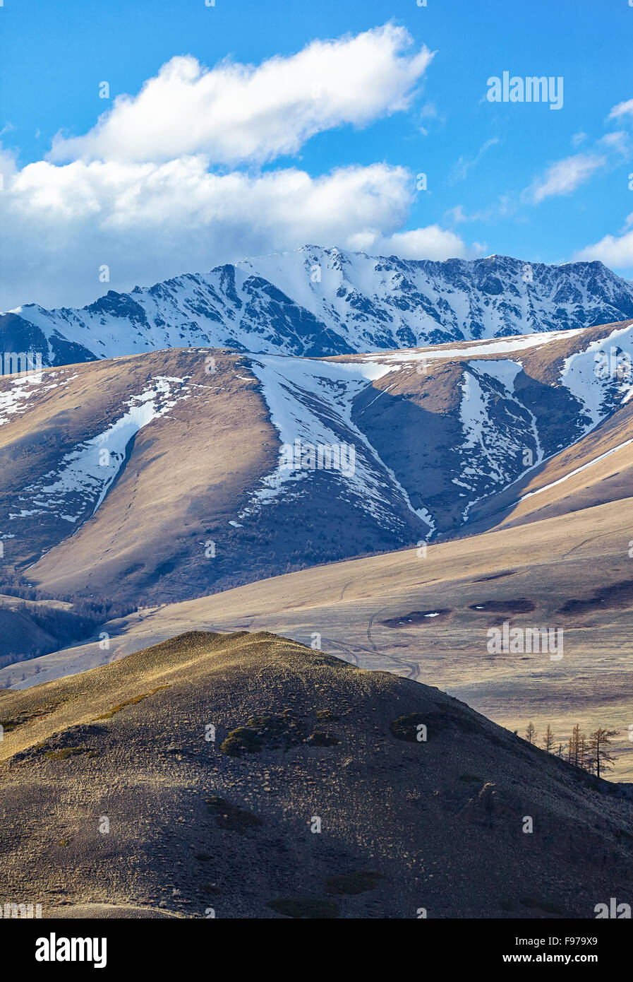 Altai-Gebirge in Kurai Bereich mit Tschujskij Nordgrat auf Hintergrund. Stockfoto