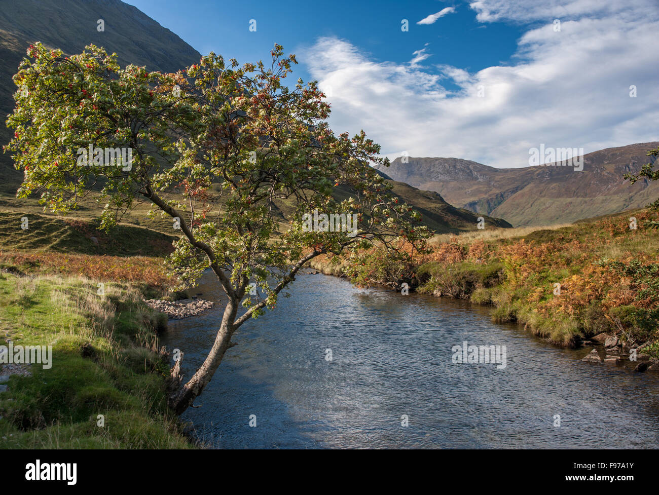 River Croe in Glenlicht Schottland Stockfoto